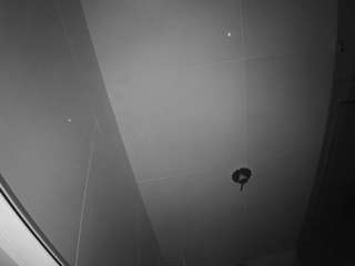 voyeurcam casa salsa bathroom 10